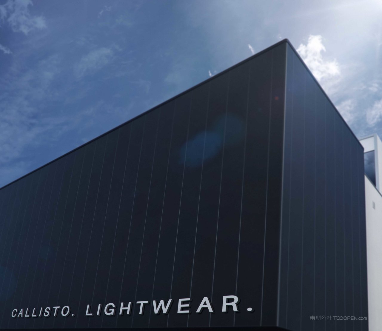 公司标志LOGO样机