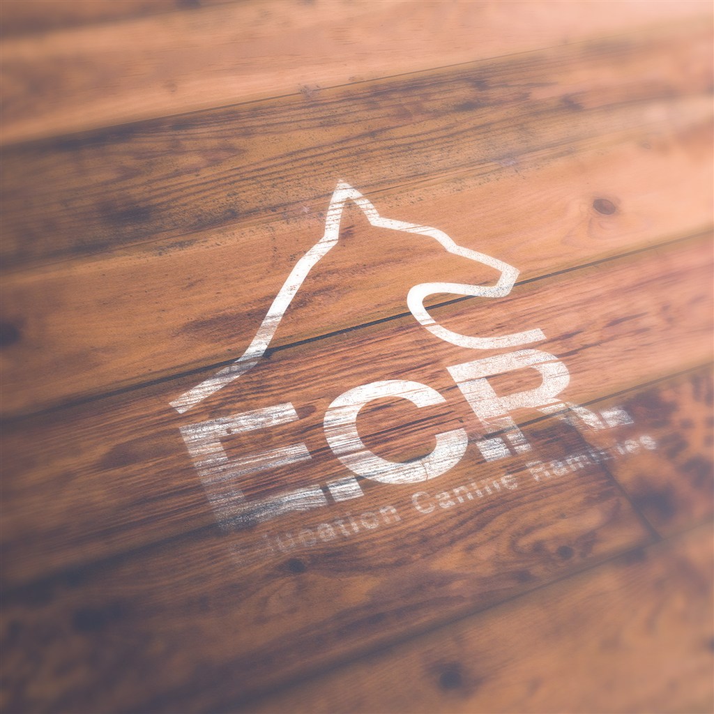 狼头英文字母标志样机