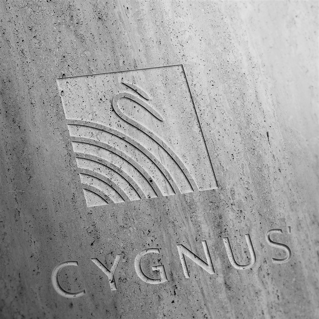 精美木纹凹凸logo样机