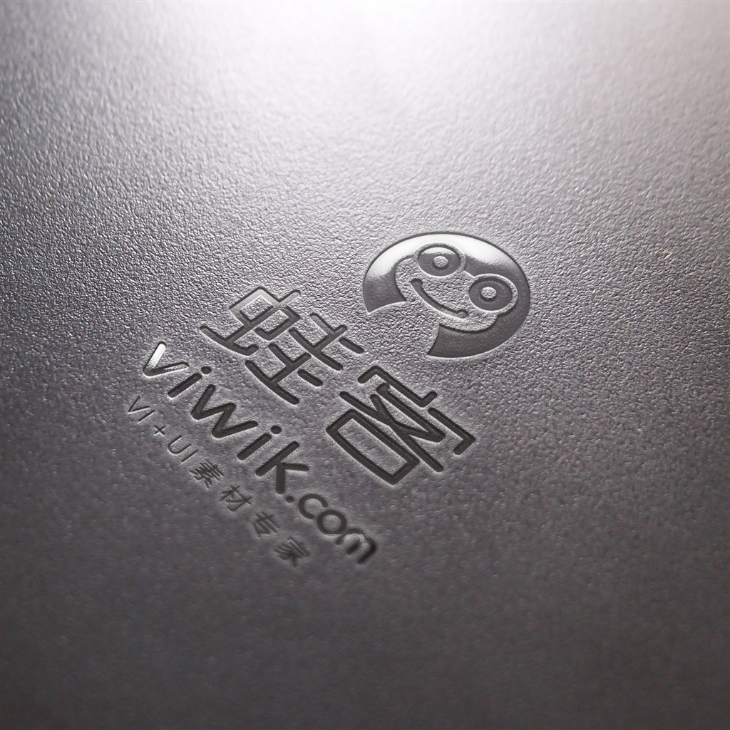 高档时尚烫银立体logo样机