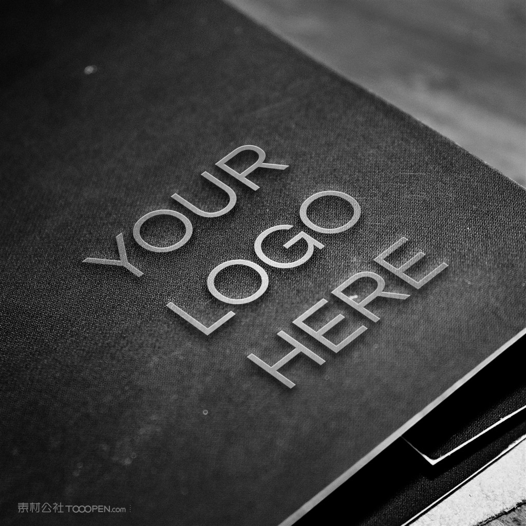 浮雕logo标志展示样机