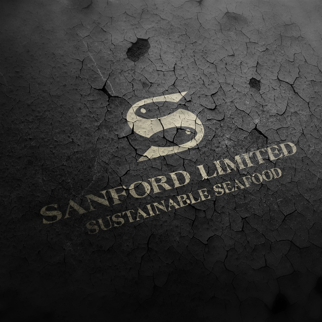 裂纹质感创意logo样机