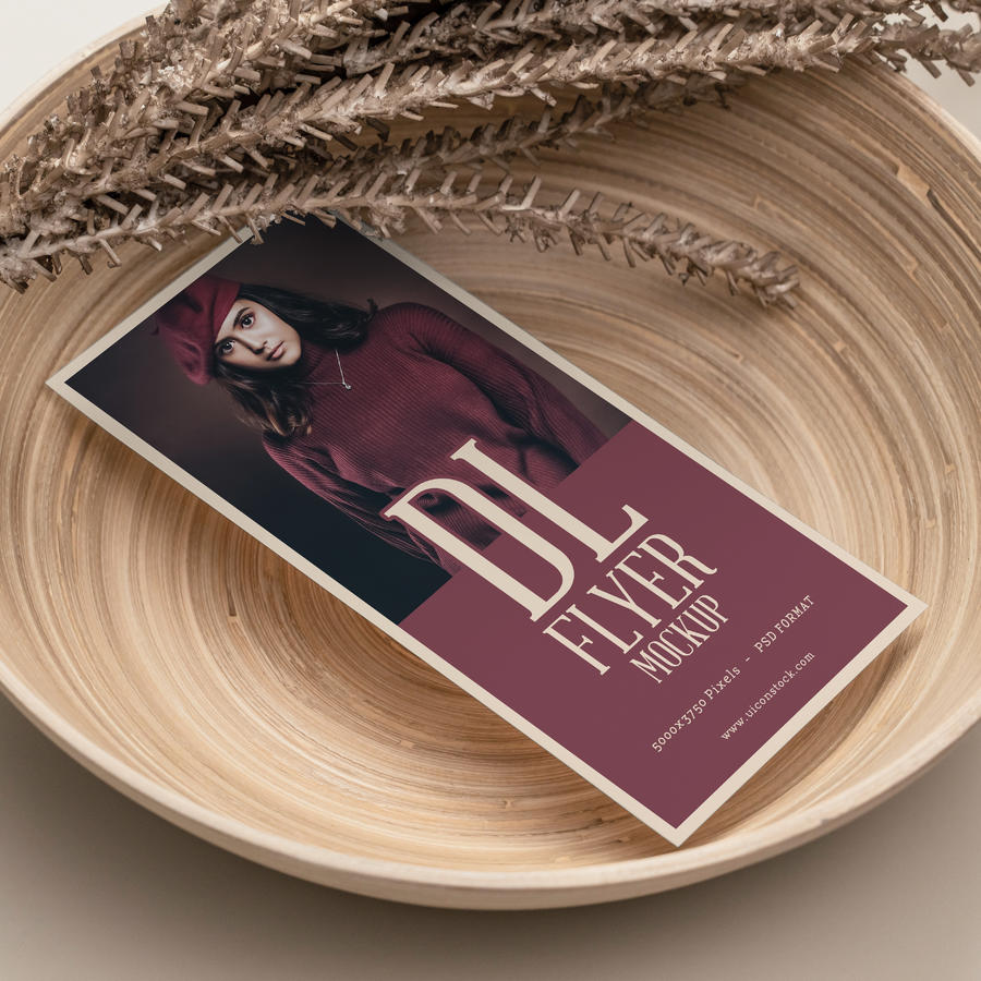 Dl传单样机模板