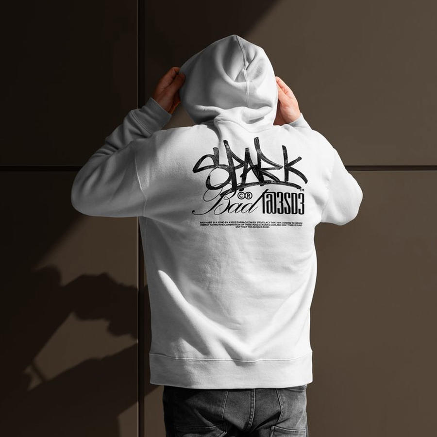 街头服装品牌vi样机