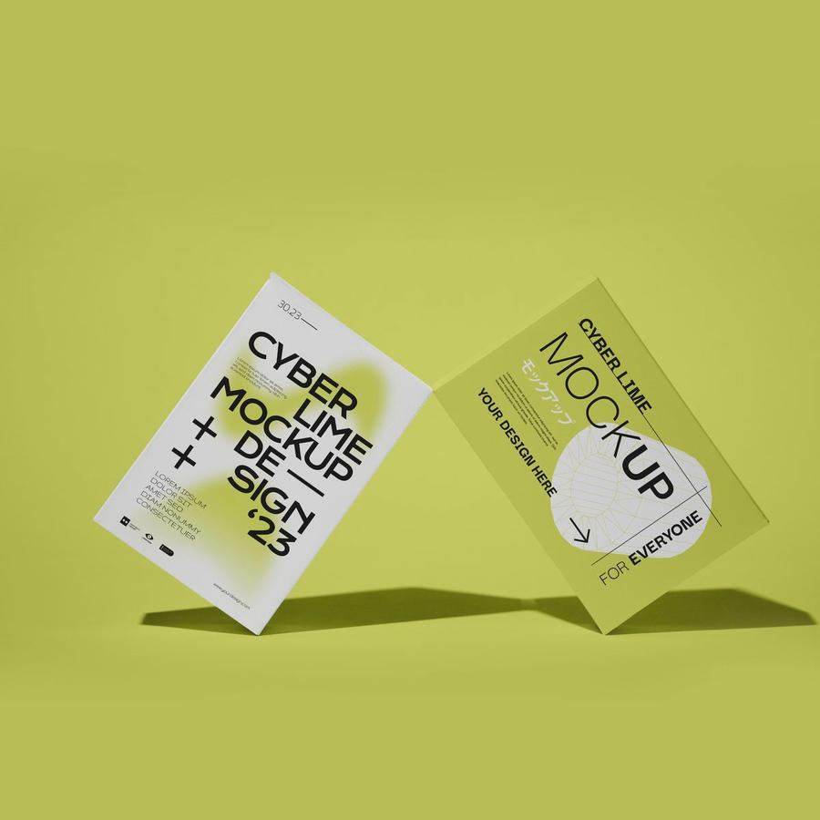 产品包装纸盒样机