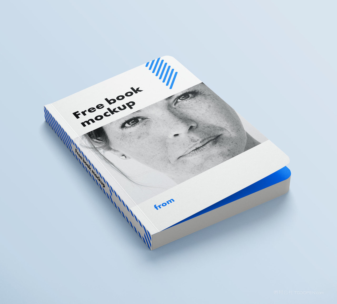 精装硬壳厚厚的书本书籍样机 (33)