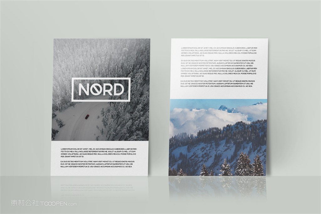 海报a4宣传单样机模板