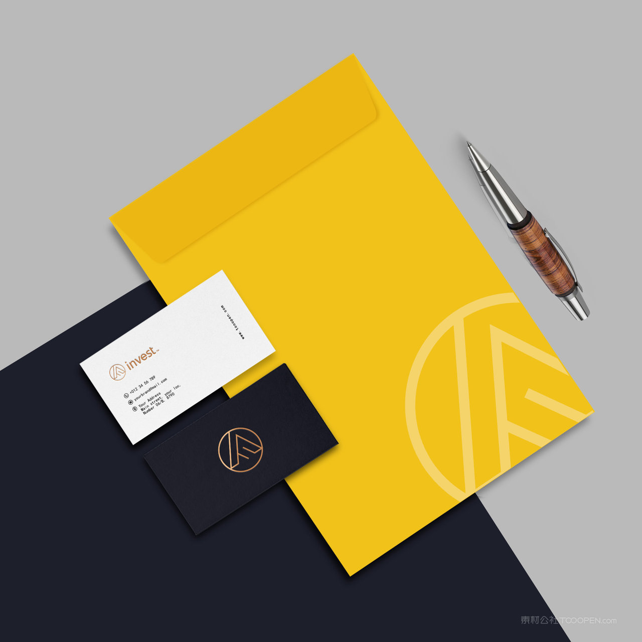 投资公司VI文件袋名片贴图样机