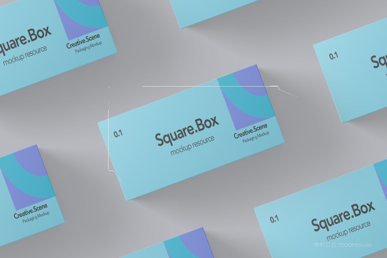 清新场景产品包装设计样机 (31)