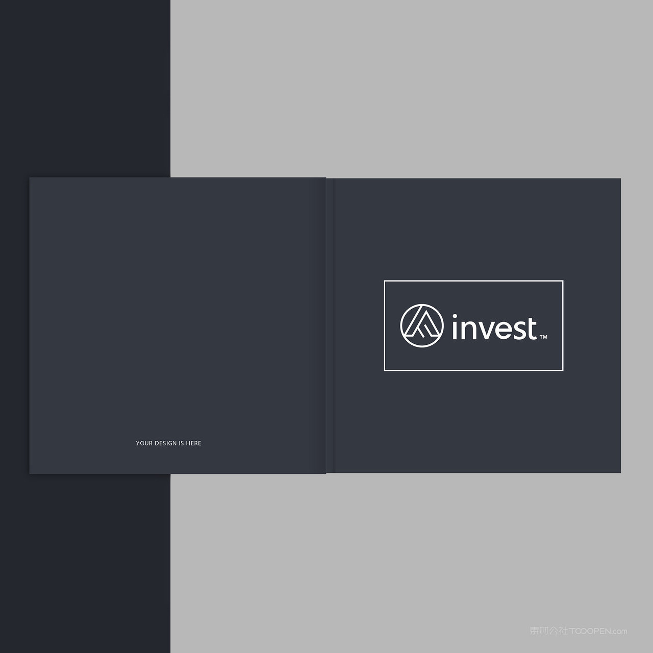 投资公司VI画册封面封底贴图样机