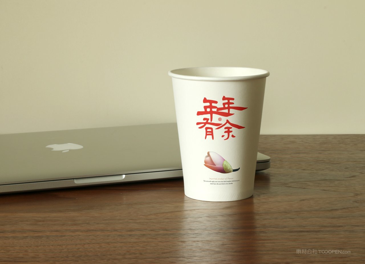 红色年年有余国潮文创样机 (80)