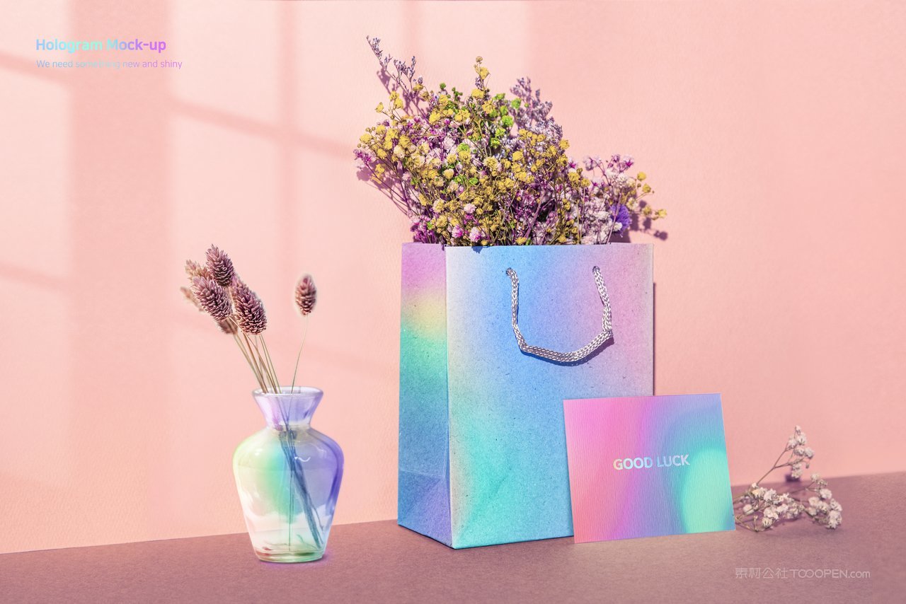 彩色渐变互联网企业vi展示样机 (14)