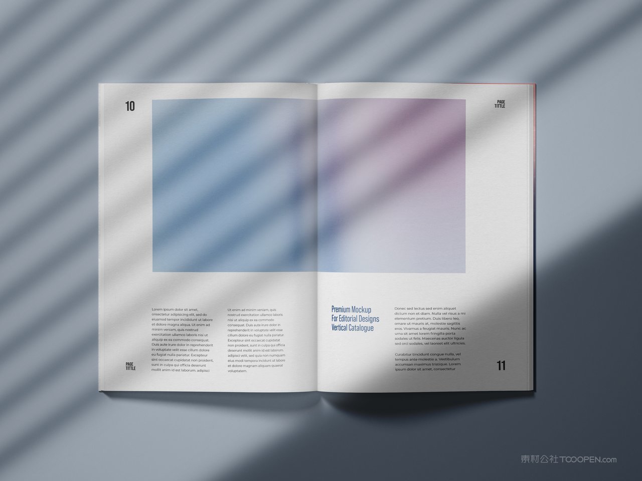 光影场景书籍展示样机 (2)