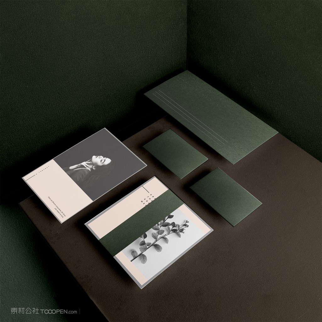 女性时尚品牌画册样机