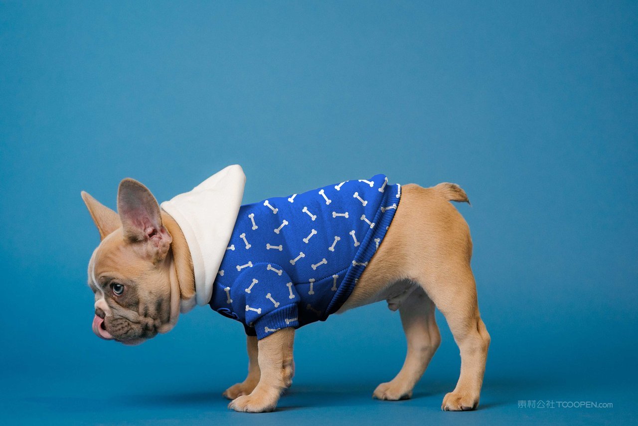 狗狗连衣帽卫衣样机