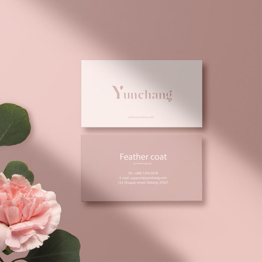 女性服装品牌VI名片贴图样机