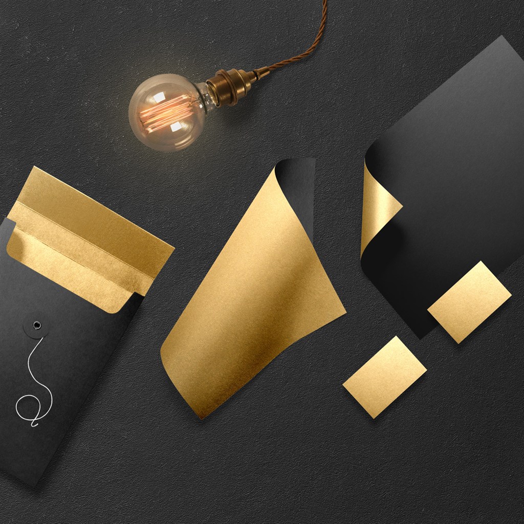 黑色金色调高档VI样机