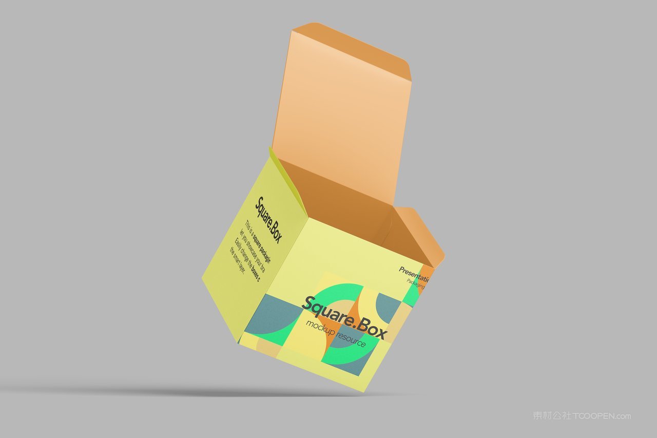 清新场景产品包装设计样机 (15)