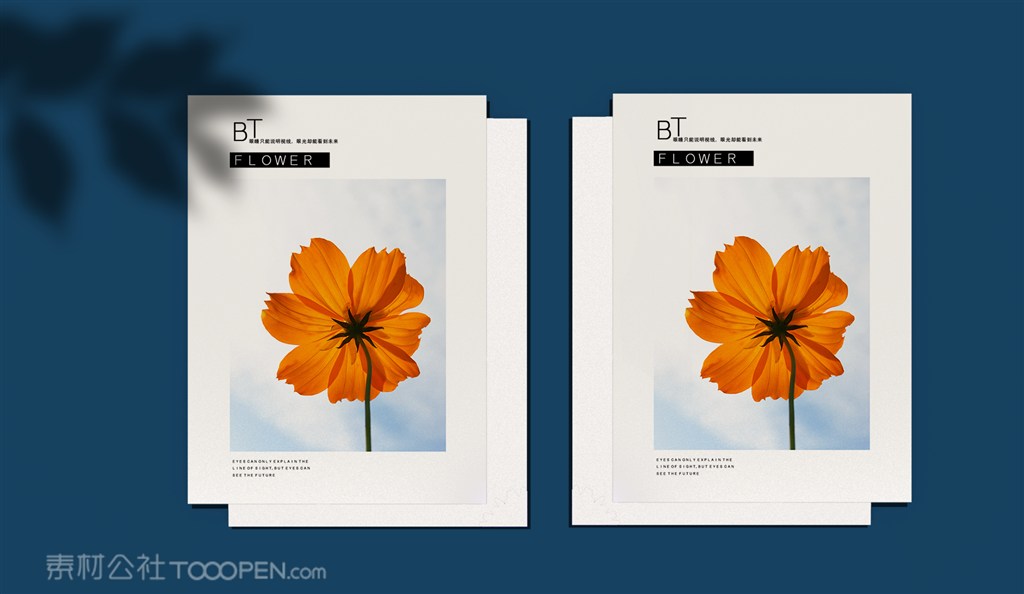 简约清新海报单页样机