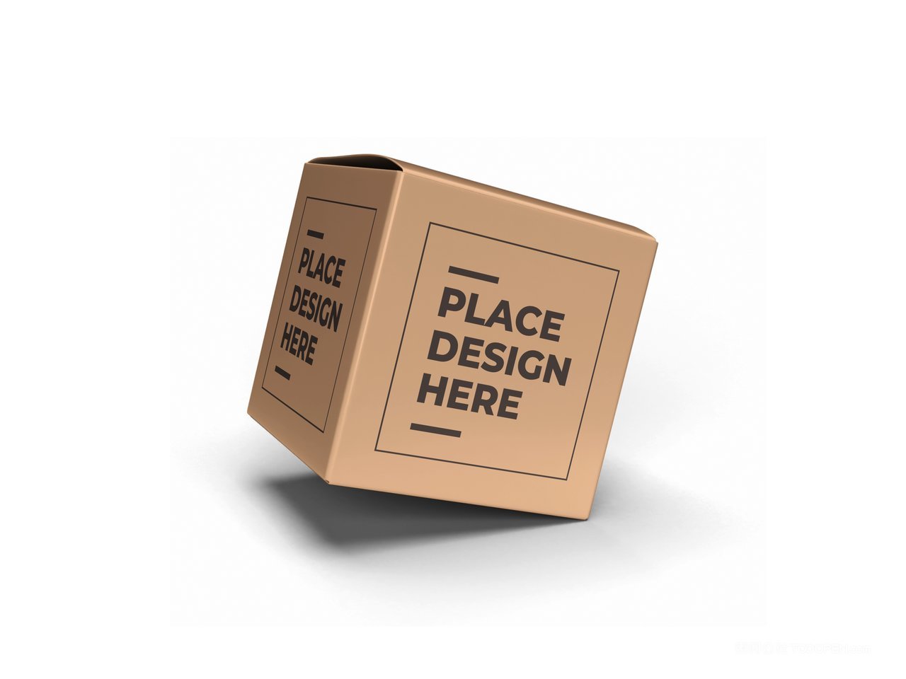 【2078期】正方形纸盒纸箱包装样机 (6)