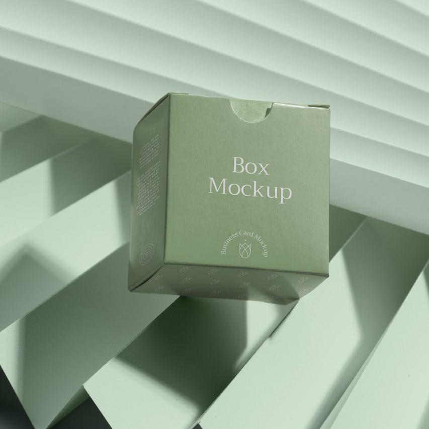 清新绿高级光影精品纸盒纸箱样机 (1)