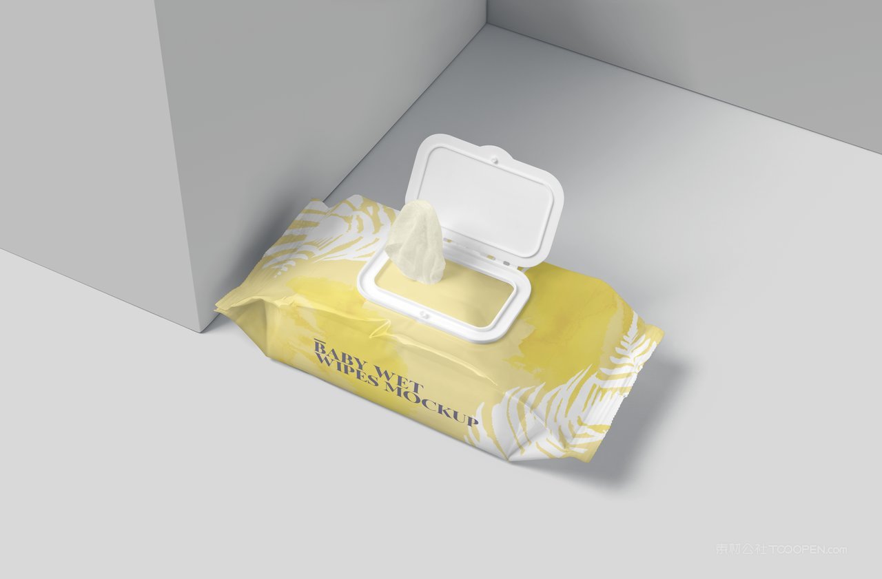 【1991期】翻盖湿巾贴图样机 (3)