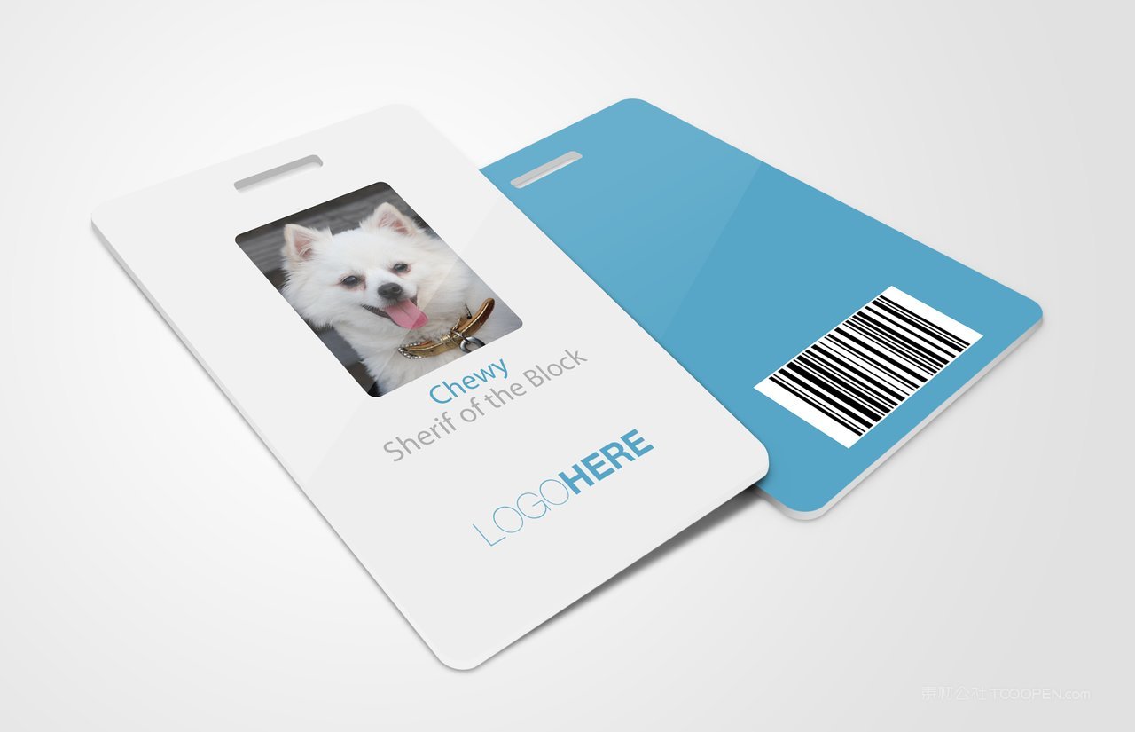 id card工作证胸卡出入证布展证企业vi样机 (5)