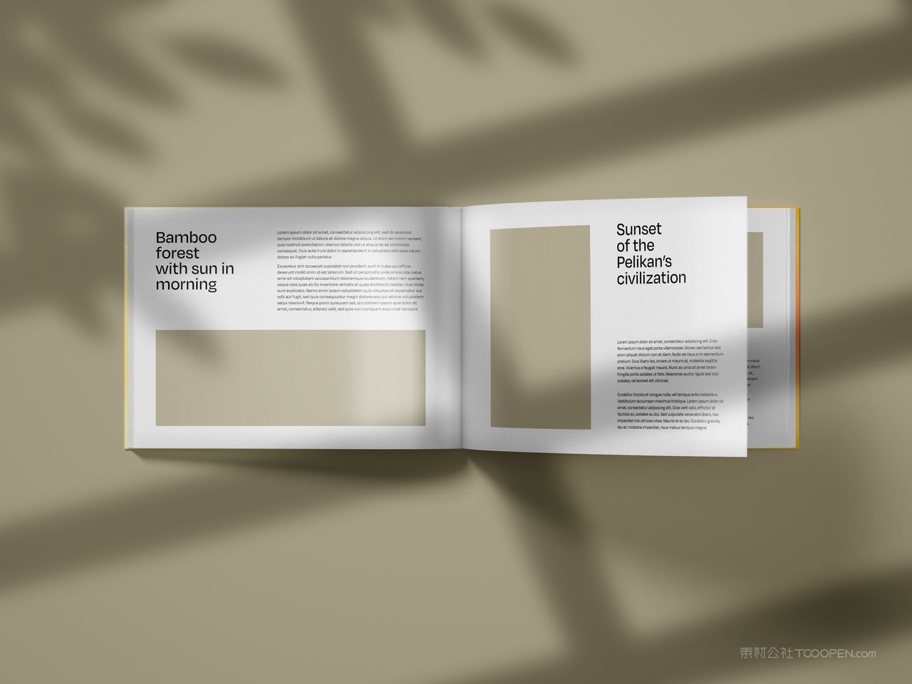 精装硬壳横版书籍画册宣传册封面设计效果图智能贴图样机 (1)