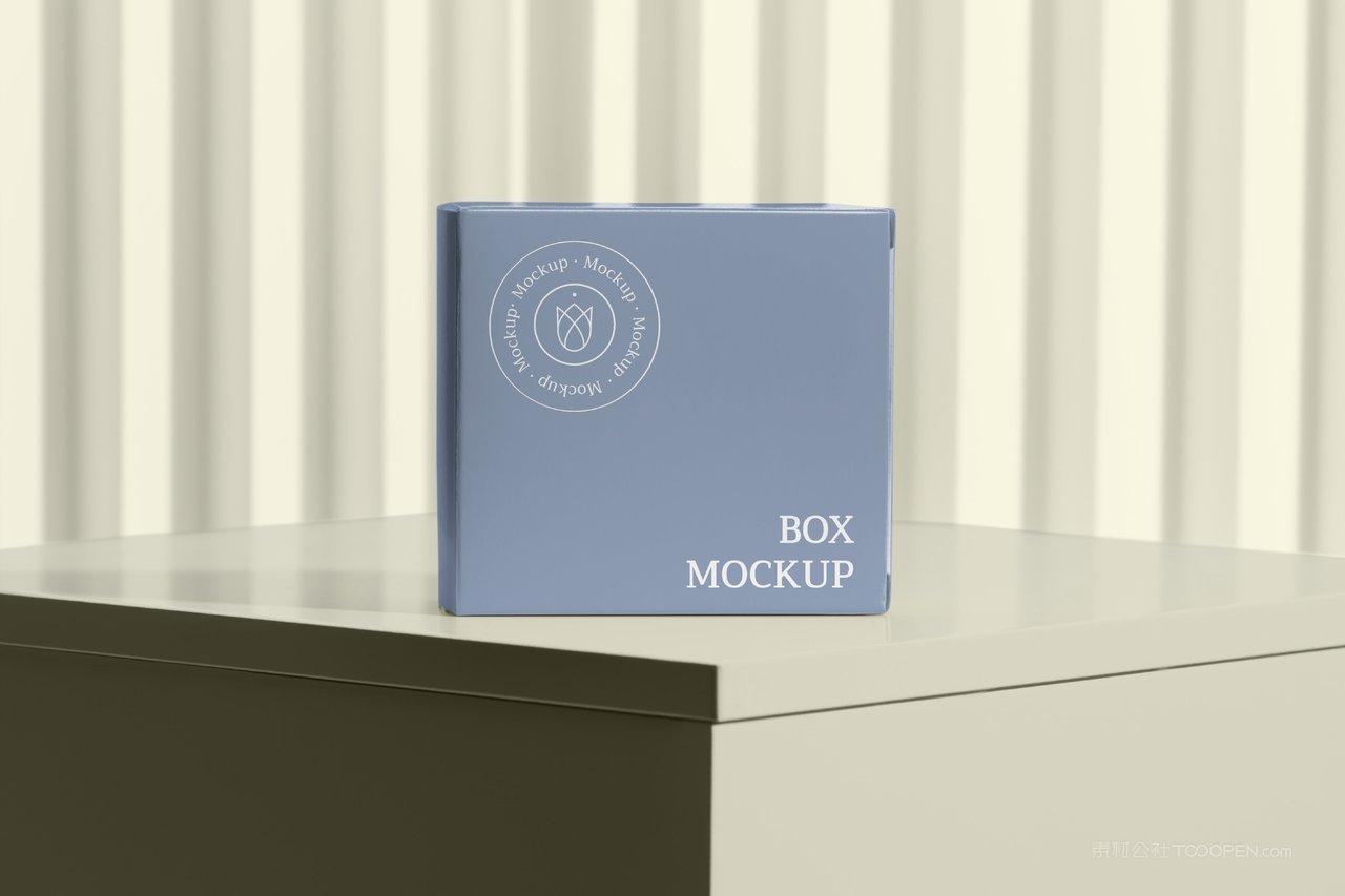 淡蓝光影精品纸盒纸箱样机 (3)
