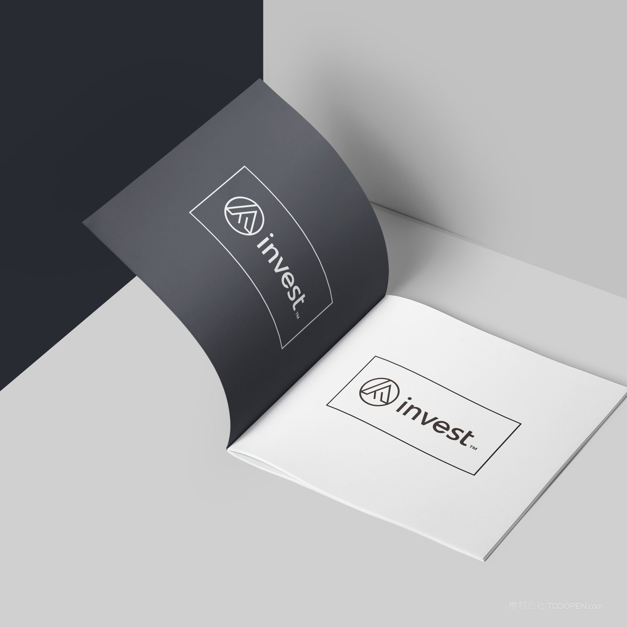 投资公司VI打开的画册贴图样机