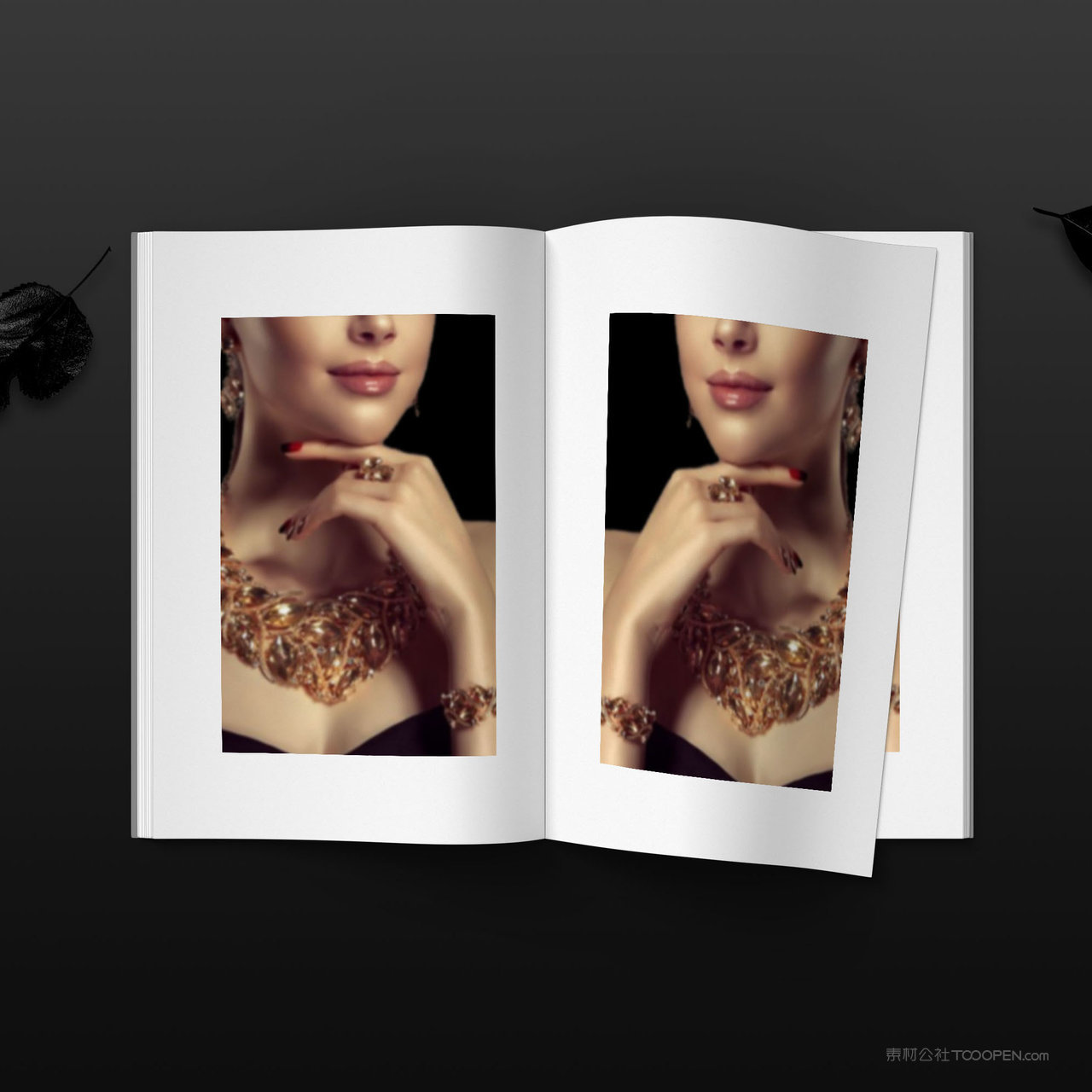 珠宝品牌VI画册贴图样机