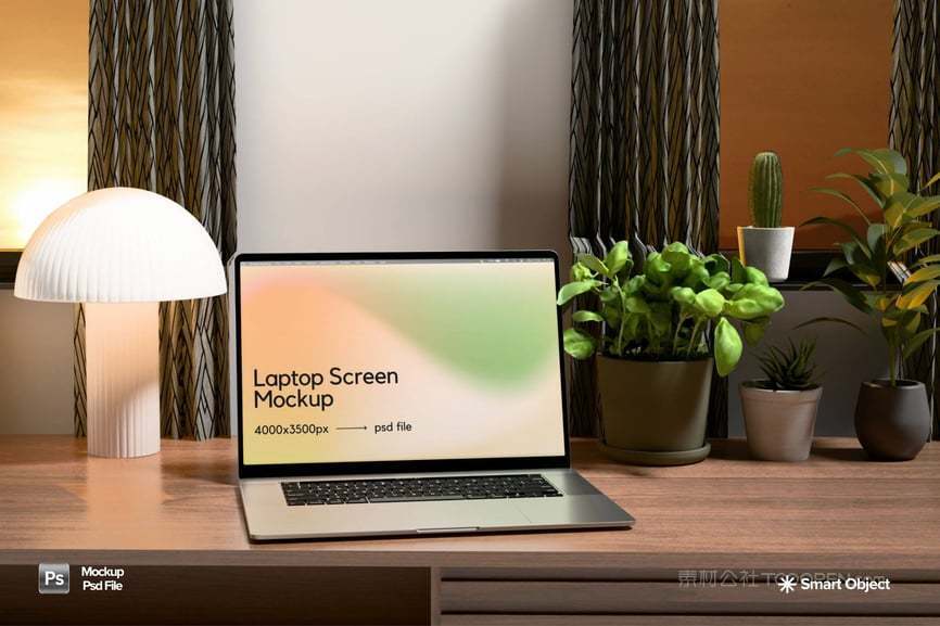 笔记本电脑样机