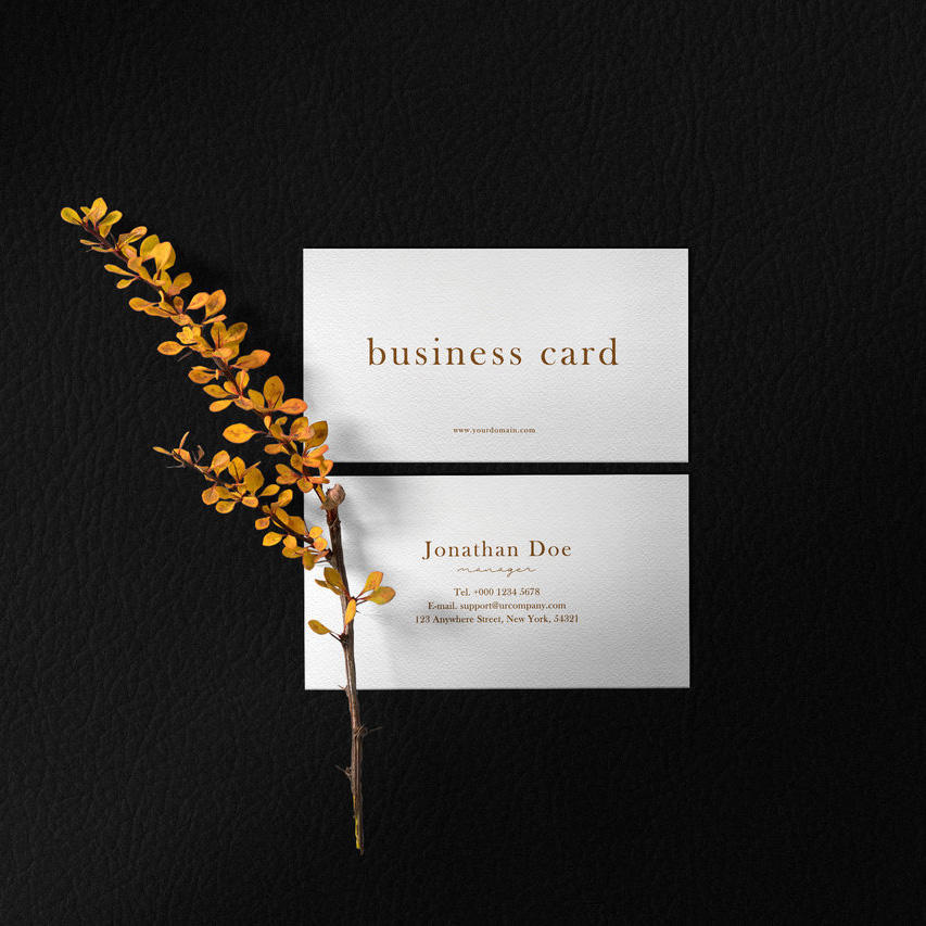 叶子简约高档背景名片样机贴图