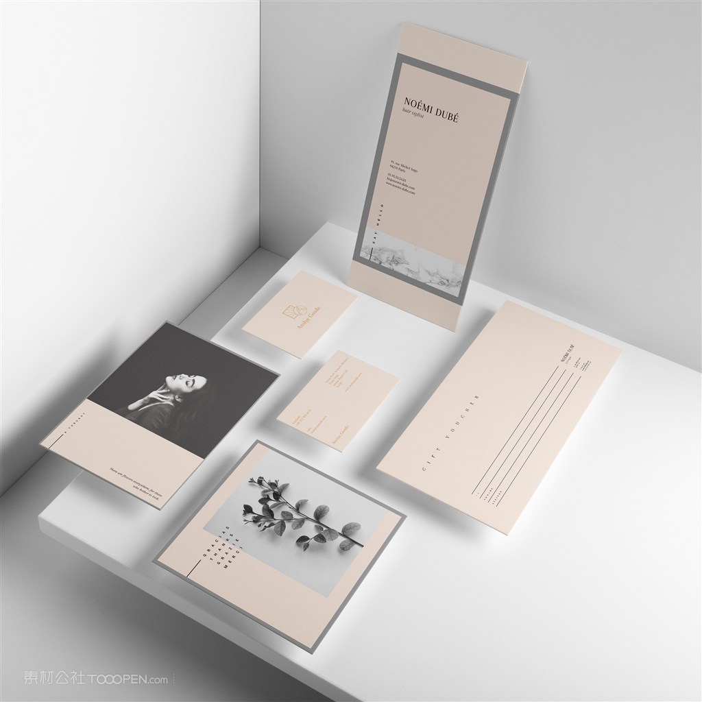 女性时尚品牌vi贴图样机