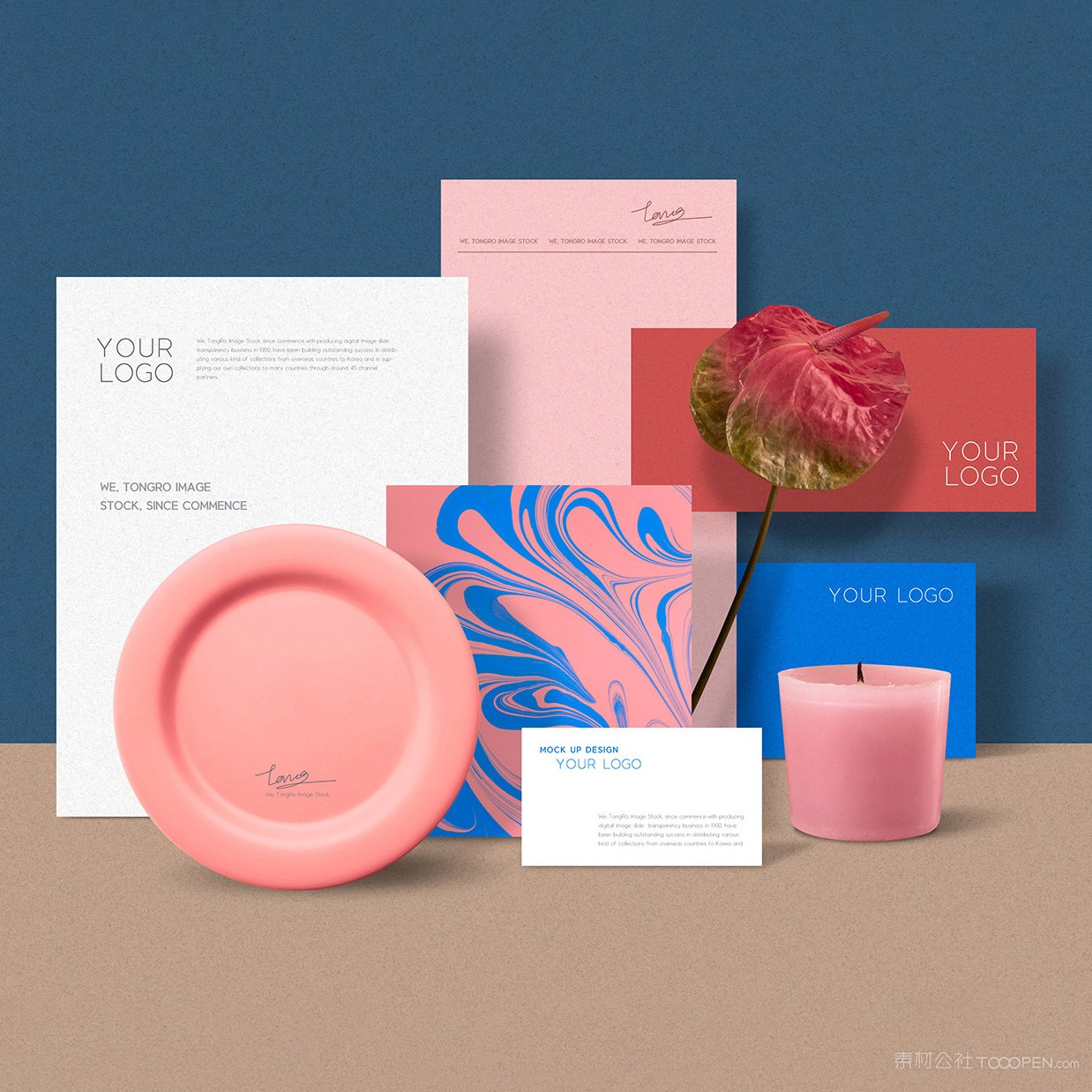 时尚VI名片文档样机模板