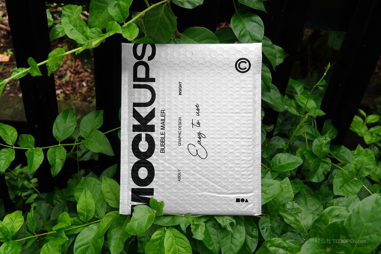 气泡包装邮件样机
