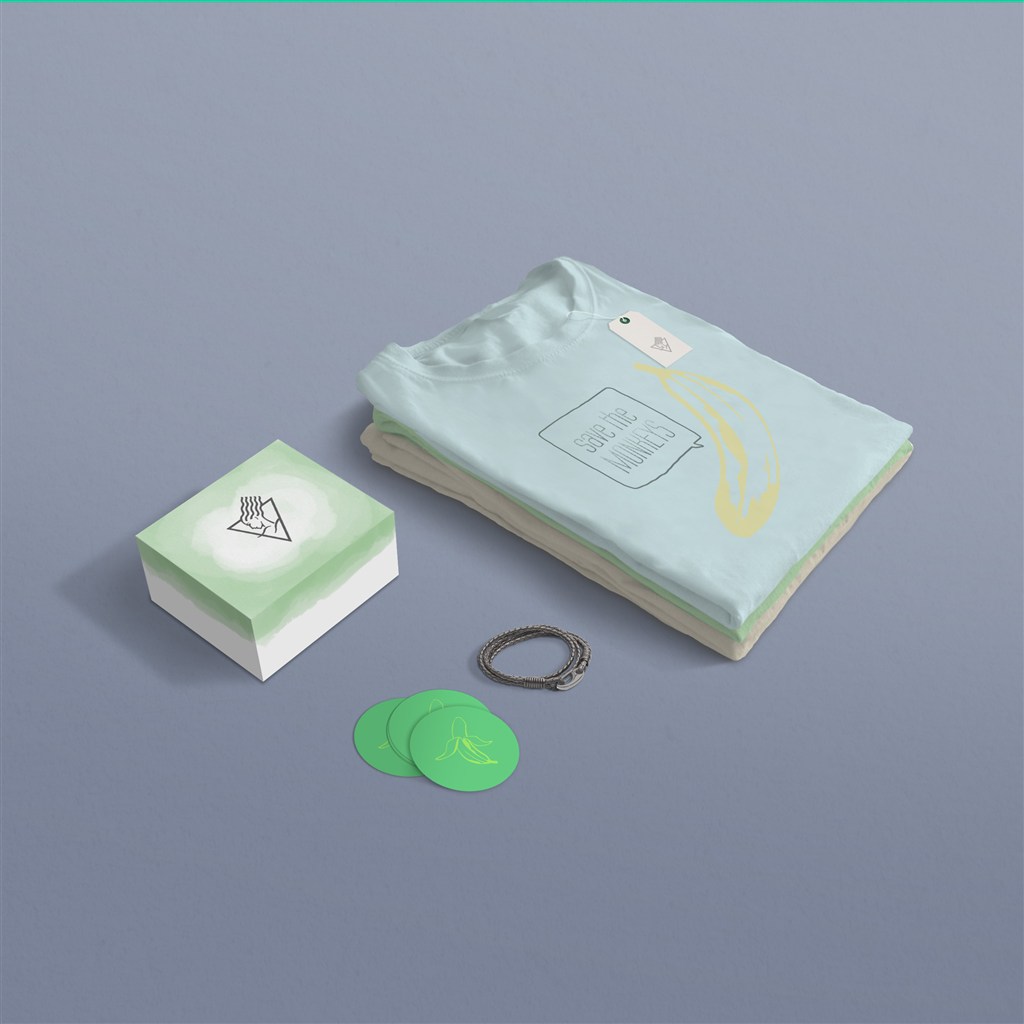 淡雅T恤小方盒企业VI样机