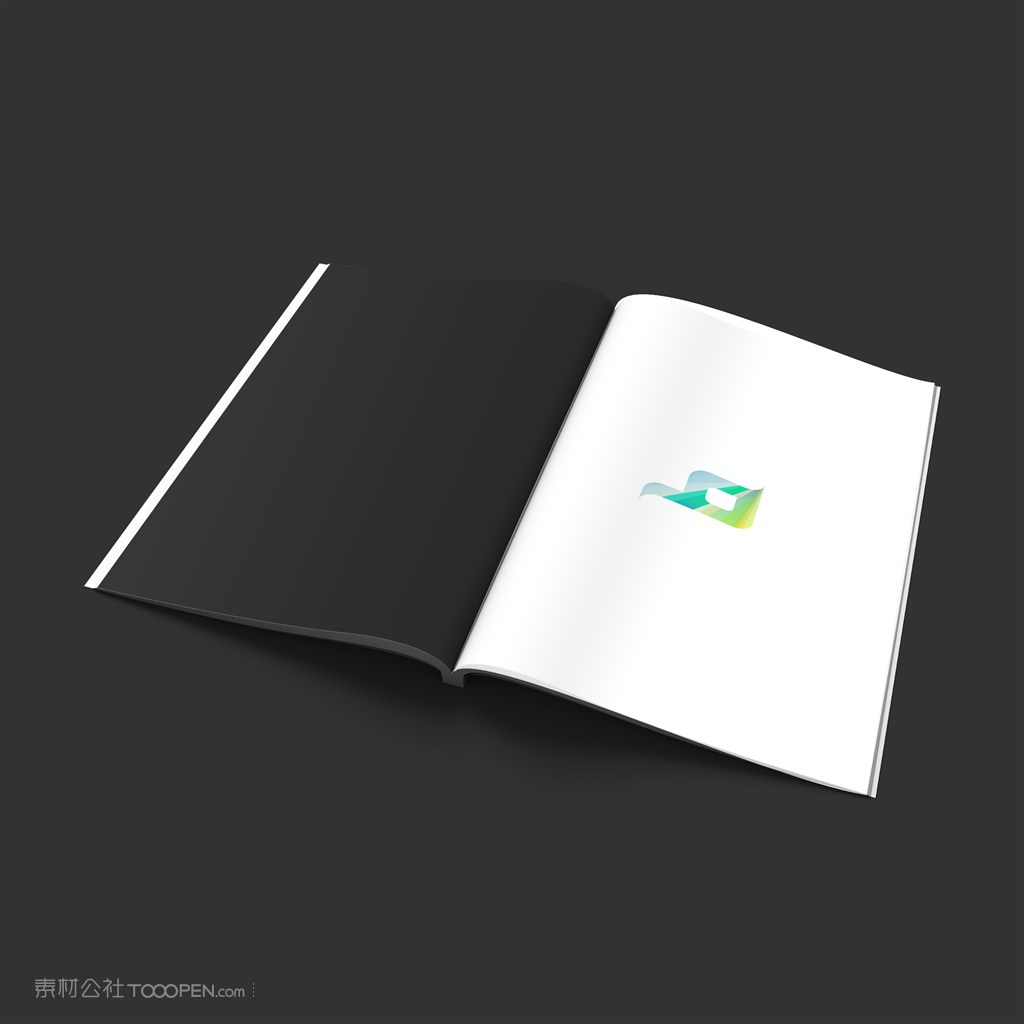 画册宣传册杂志展示样机