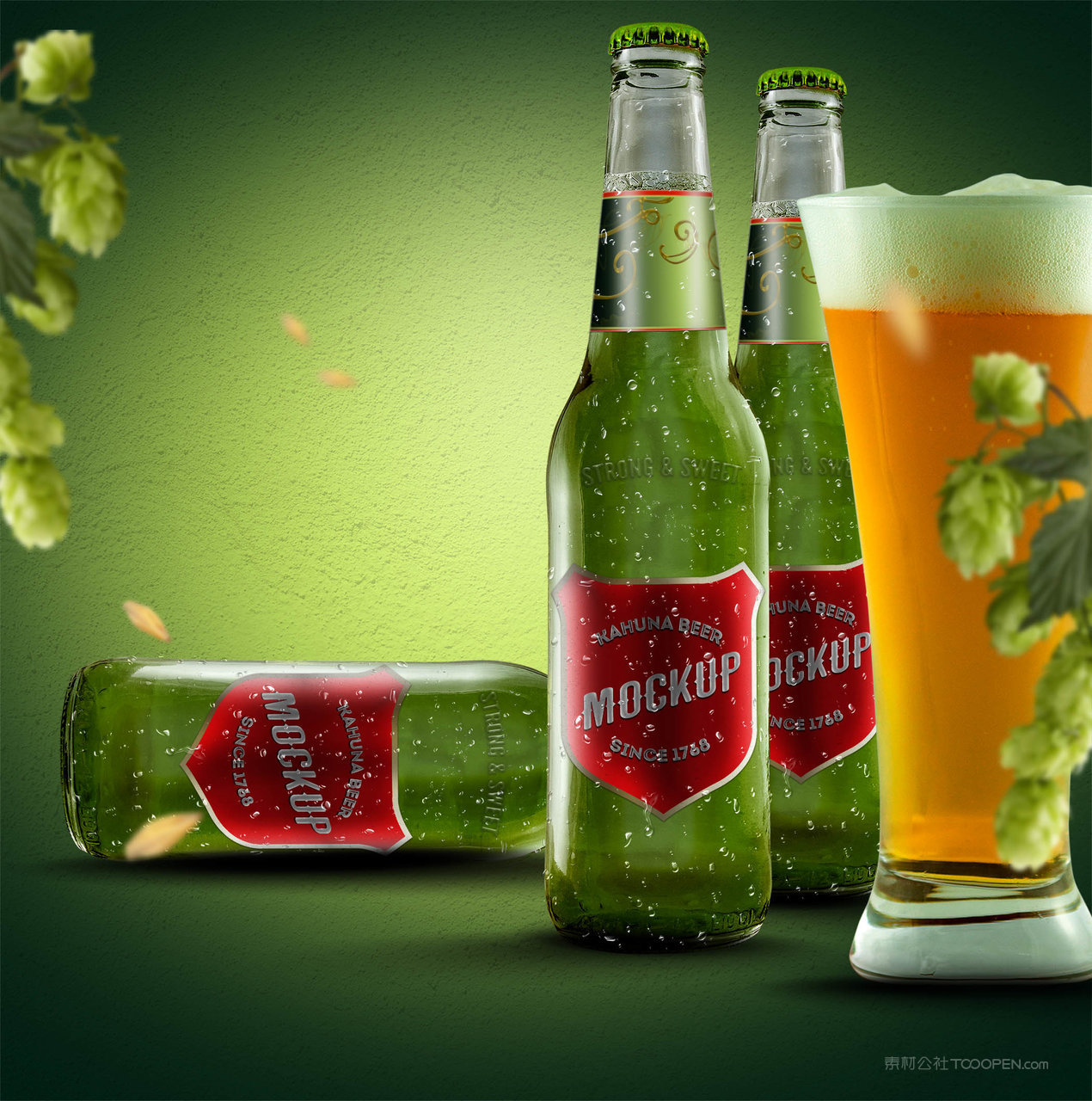 啤酒瓶包装样机