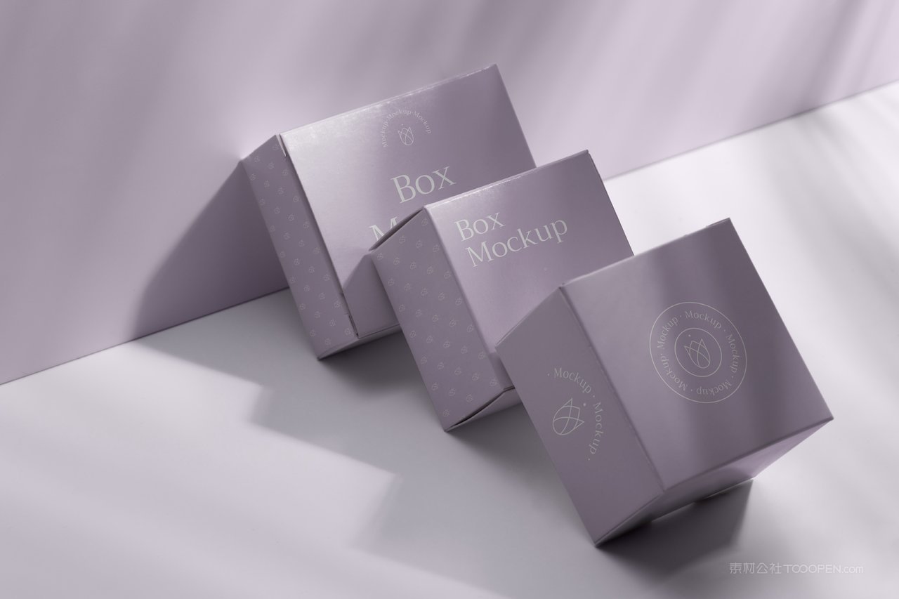 紫色光影精品纸盒纸箱样机 (3)