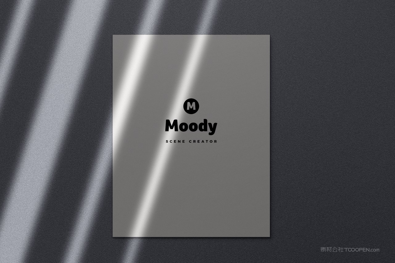 复古文艺光影海报样机 (14)