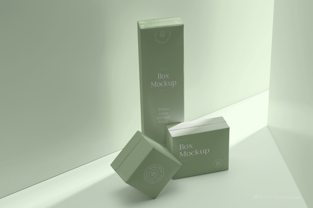 清新绿高级光影精品纸盒纸箱样机 (9)