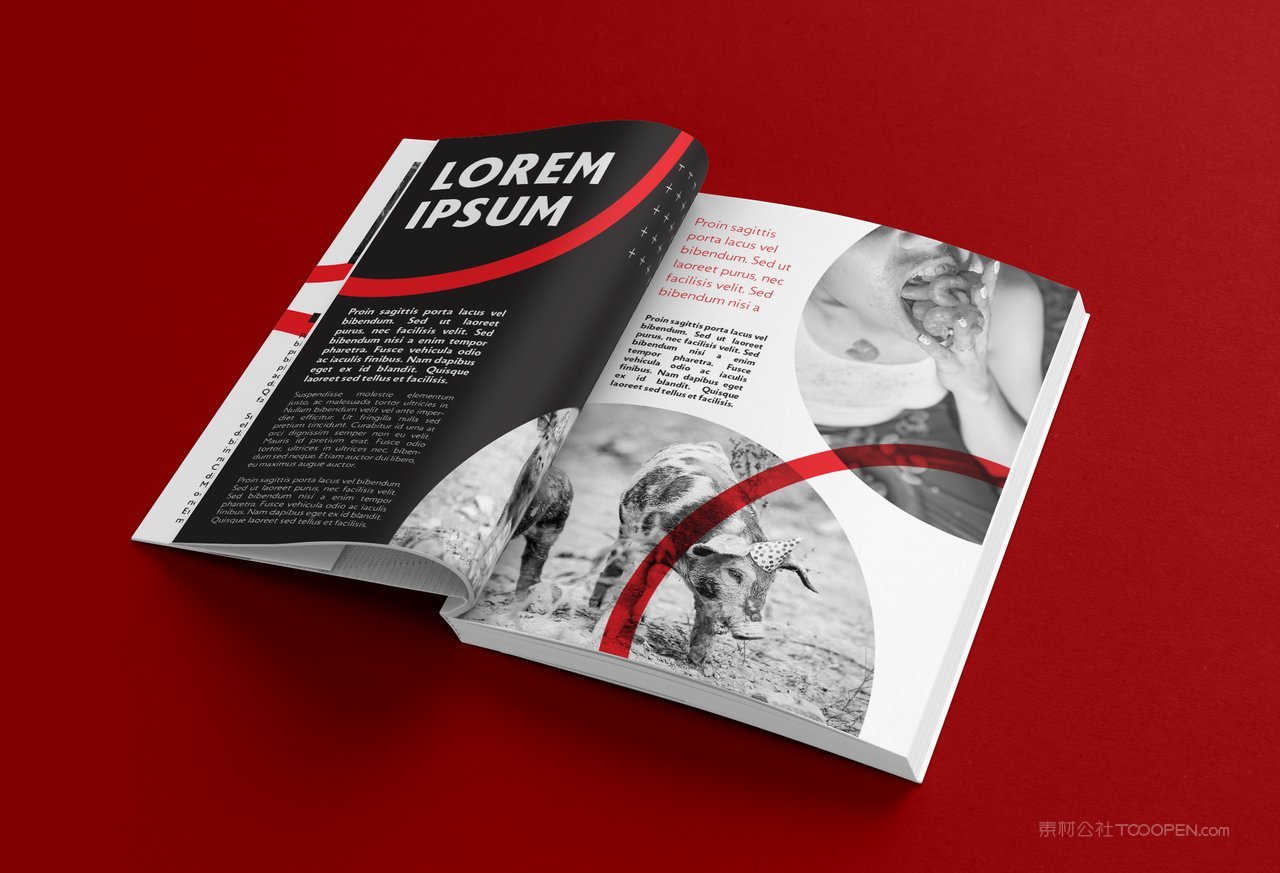 精装硬壳厚厚的书本书籍样机 (26)