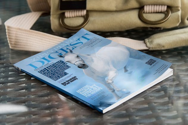 总计场景杂志样机