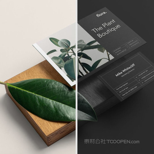 树叶旁边的卡片名片贴图样机