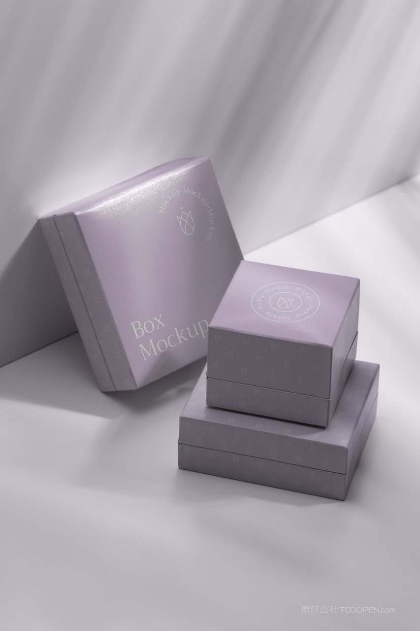 紫色光影精品纸盒纸箱样机 (4)