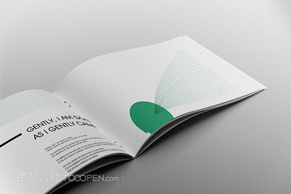 打开的画册样机