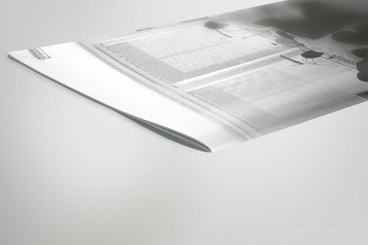 multipurpose骑马钉杂志细节样机 (4)