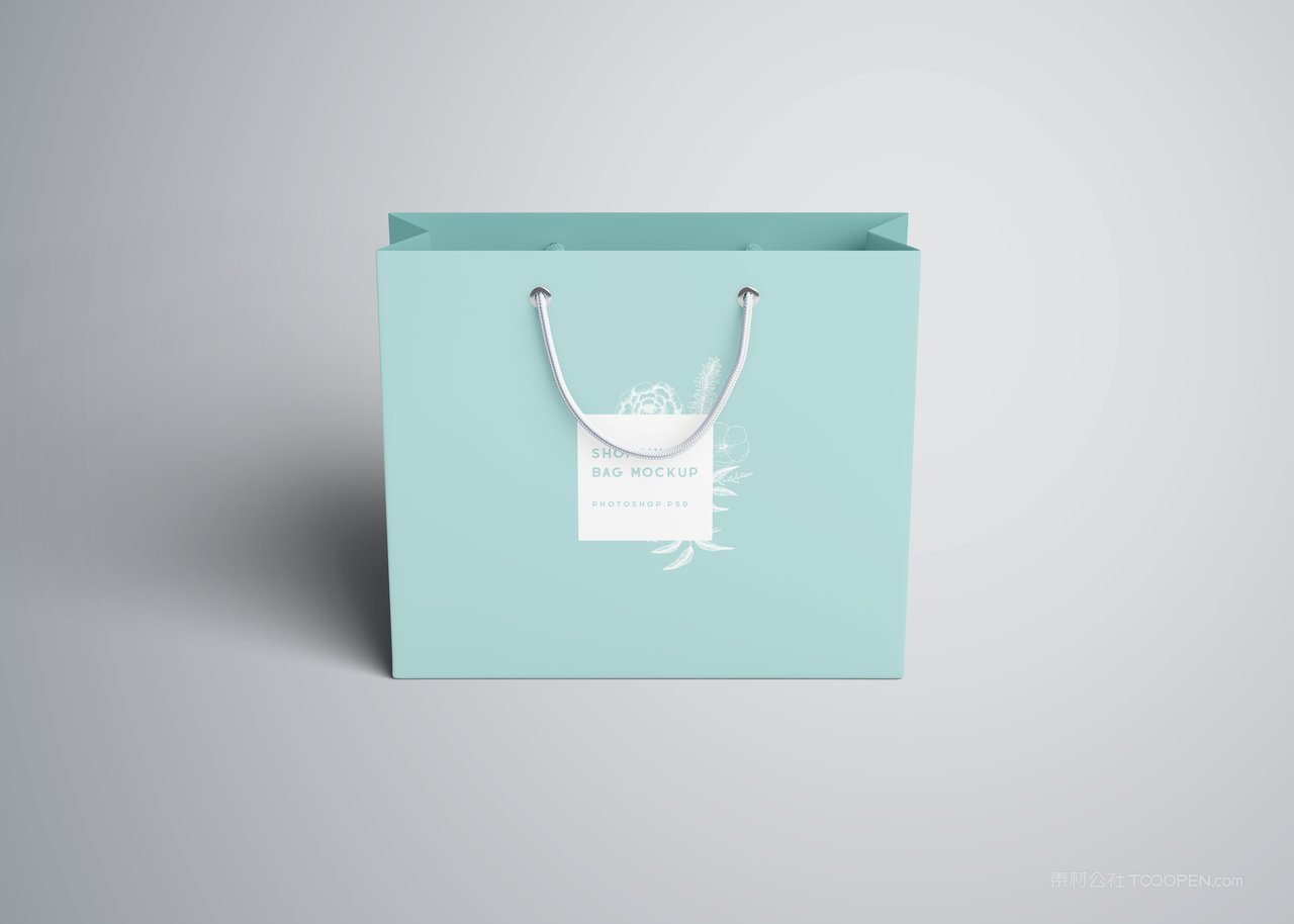 手提袋样机素材