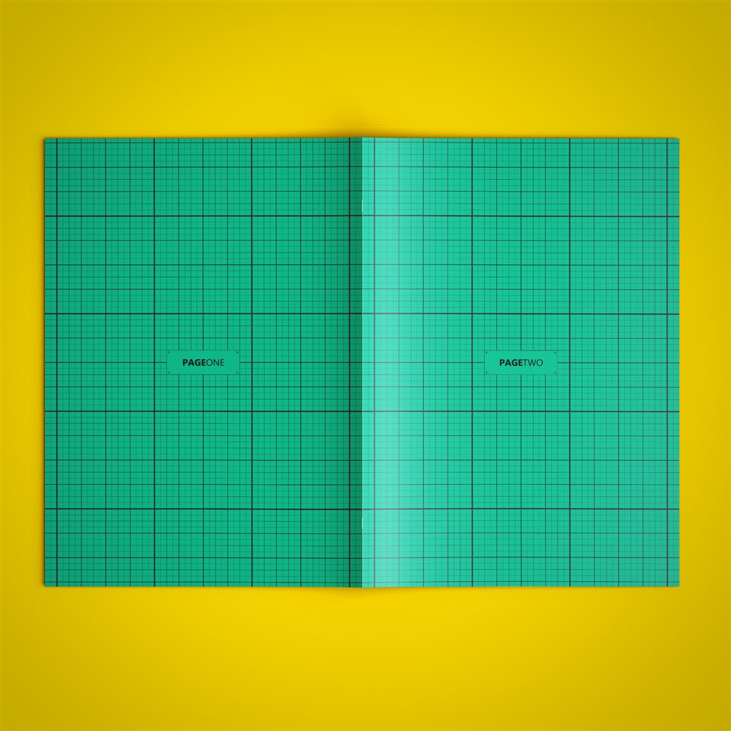 敞开的绿色格纹画册样机